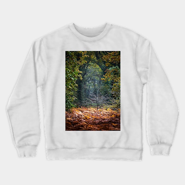 Light in the forest Crewneck Sweatshirt by GeoffCarpenter